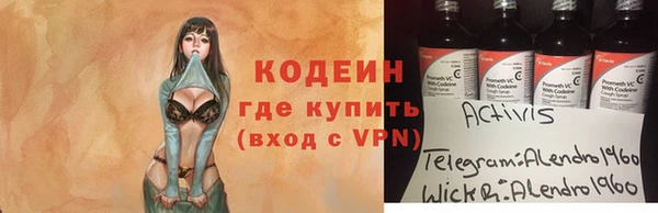 стаф Абаза