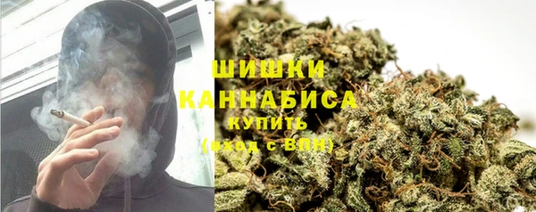 стаф Абаза
